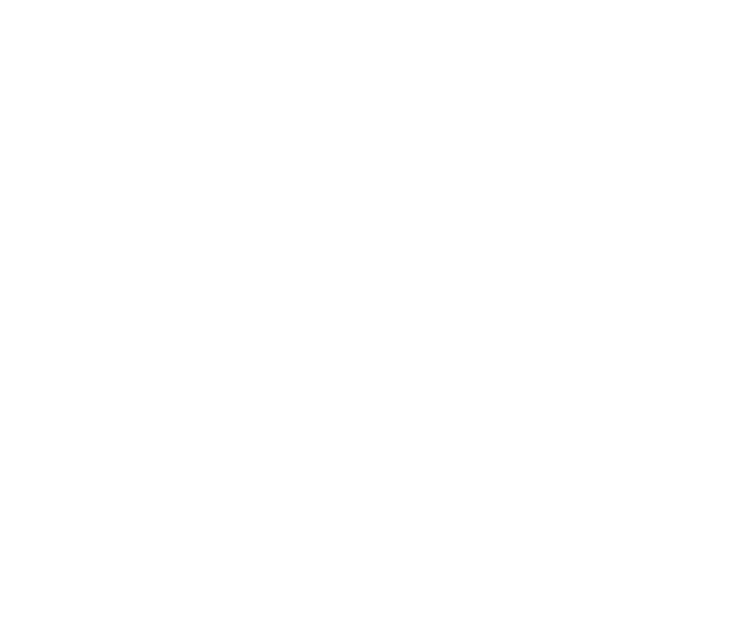 Fein Wood